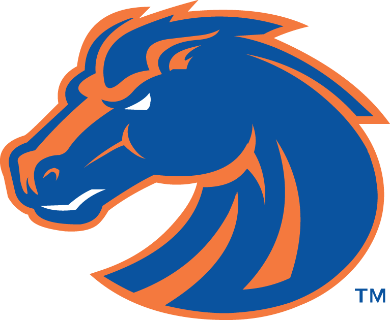 Boise State Broncos 2002-2012 Secondary Logo iron on transfers for fabric
